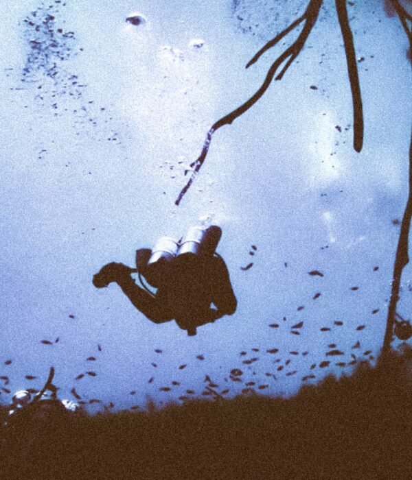 Carwash cenote dive