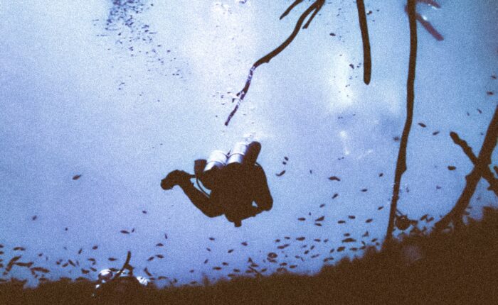 Carwash cenote dive