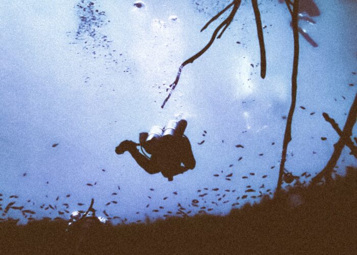Carwash cenote dive