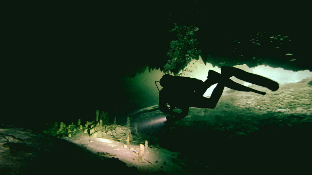 CENOTE DREAMGATE