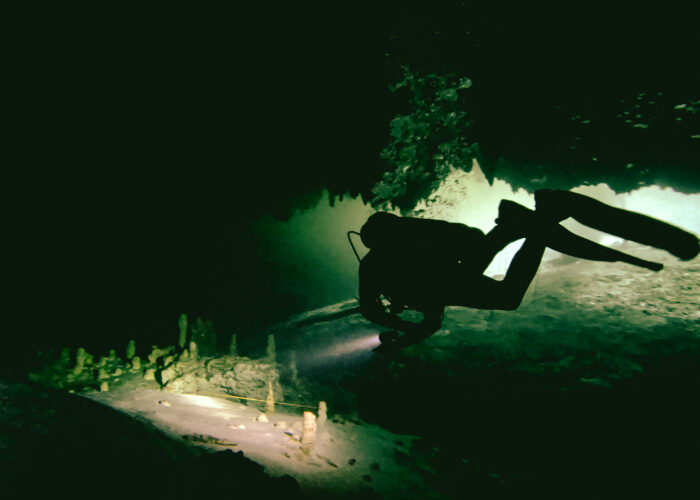 Dreamgate cenote