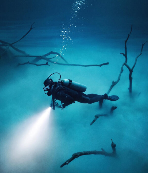 Angelita dive